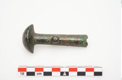 Foto von Bronzeortband (NHMW-PRAE-025457)
